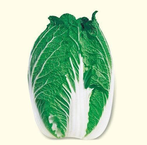 Power Seed Chunjin · Bok Choy