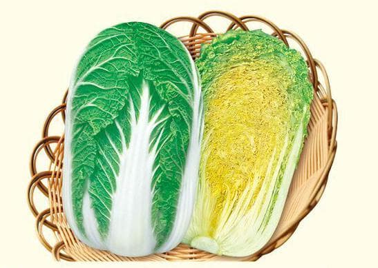 Power Seed Chunxiu · Bok Choy