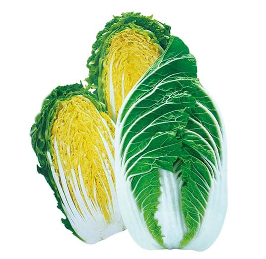 Qianteng 100 · Bok Choy