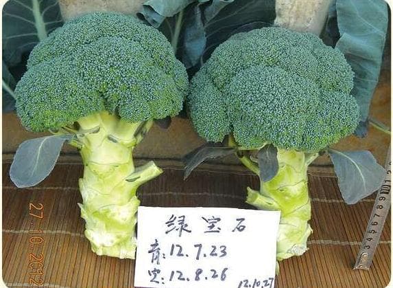 Power Seed Emerald · Broccoli