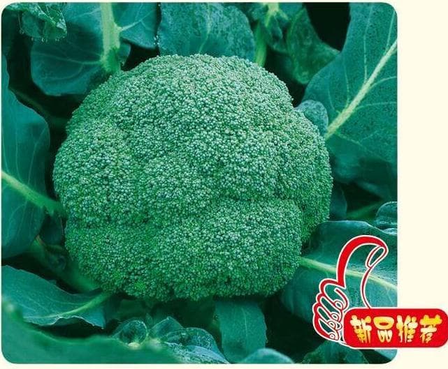 Power Seed Yipin · Broccoli