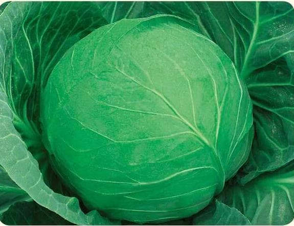 Laibao · Cabbage
