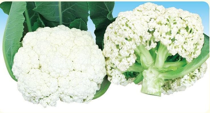 Power Seed Songhua 58 · Cauliflower