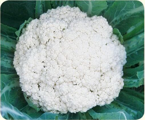 Power Seed Songhua 70 · Cauliflower