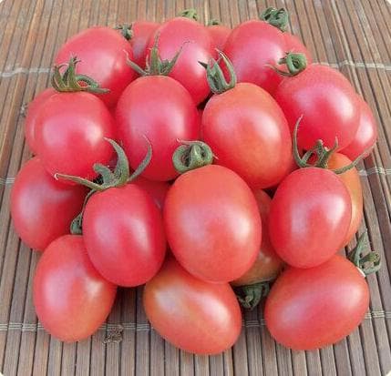Pink Beauty · Cherry Tomato