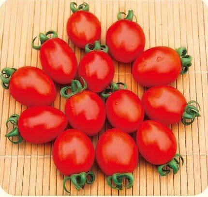 Sweet Xiunu · Cherry Tomato