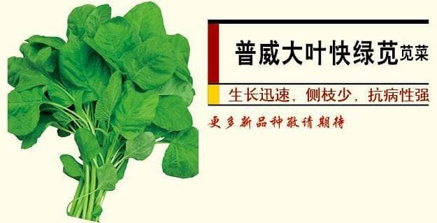 Power Seed Big-Leaf Kuailv Amaranth · Leafy Green