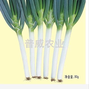 Yudu No. 2 · Scallion