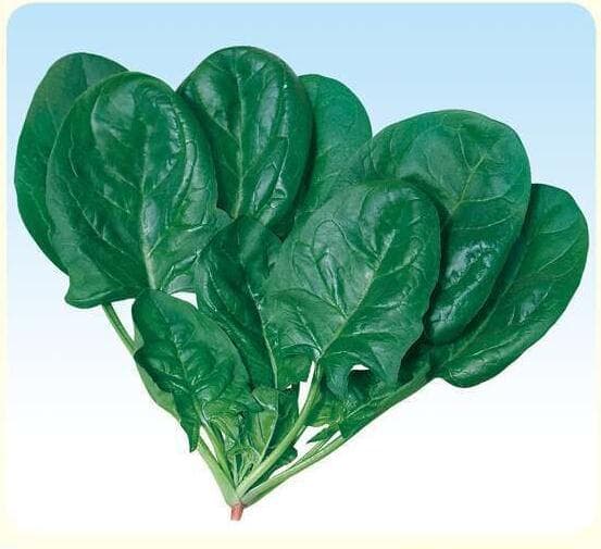 Weibo No. 7 · Spinach